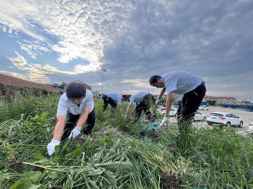 公交集團(tuán)公交事業(yè)一部清除場站雜草 為創(chuàng)文助力